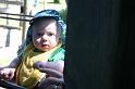 Picture 7642